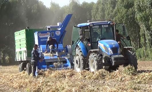 Ahlat Türkiye’nin üçüncü fasulye üretim merkezi oldu