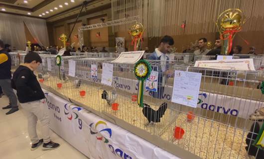 Erbil embraces fifth best hen and rooster festival