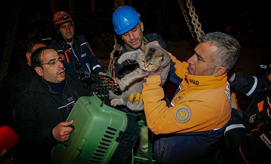 Kedi ‘Zena’ için askeri helikopter devreye girdi