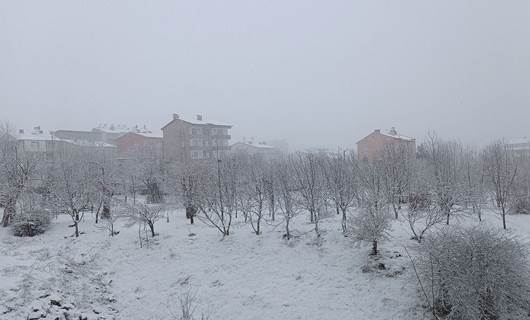 Diyarbakır, Hakkari ve Muş dahil bölge illeri kar altında!