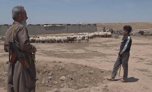 گرووپێکی 'داعش' لە سنووری کەرکووک سەرانە لە ئاژەڵدار و دانیشتووانی گوندێک وەردەگرن