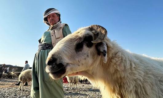 دیمەنێک لە مەیدانی کڕین و فرۆشتنی ئاژەڵان لە زاخۆ، وێنە: مەروان رەمەزان - رووداو