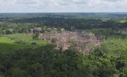 لە سەردەمی دا سیلڤادا لە بەرازیل بڕینەوەی دارستانی ئامازۆن 33.6٪ کەمبووەتەوە