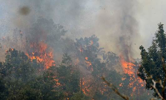 Rojhelat environmentalists blame government inactivity for frequent forest fires