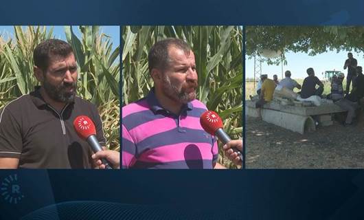 Çiftçiler TMO'nun belirlediği mısır fiyatına tepkili: 'Her yıl bir öncekine rahmet okutuyor'