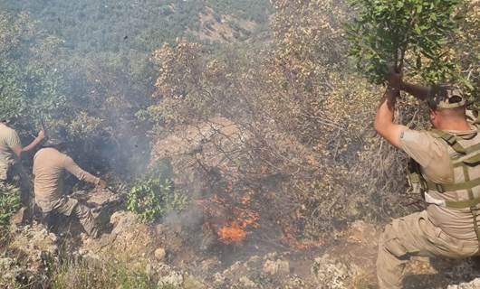 Siirt'te orman yangınları Foto: DHA