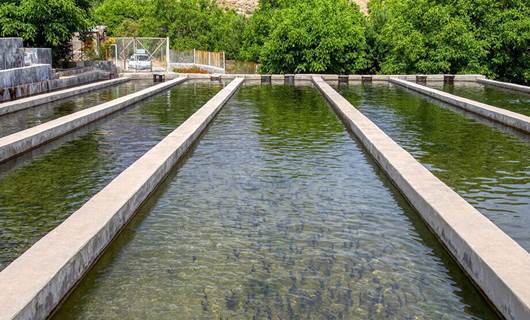 بەرهەمی ماسی لە لۆڕستان گەیشتە 32 هەزار تۆن