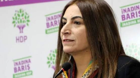 Aysel Tuğluk