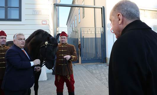  Başbakan Orban, Erdoğan'a Macar atı hediye etti. / AA