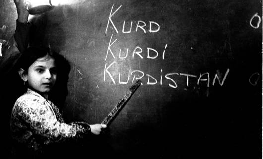 Platforma Zimanê Kurdî bi peyamekê sala nû pîroz kir / Wêne: Arşîv