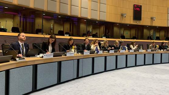 AB-Irak Kalkınma İşbirliği Komitesi Brüksel'de toplandı