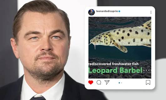  Lenonardo DiCaprio “Sazanê Leopar” li ser hesabê xwe yê Instagramê parve kir
