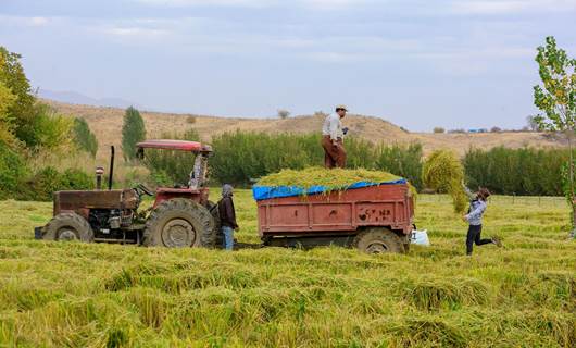 هەرێمی کوردستان خاوەنی نزیکەی 5.5 ملیۆن دۆنم زەویی کشتوکاڵیە؛ بەبیابانبوون لەئارادایە؟