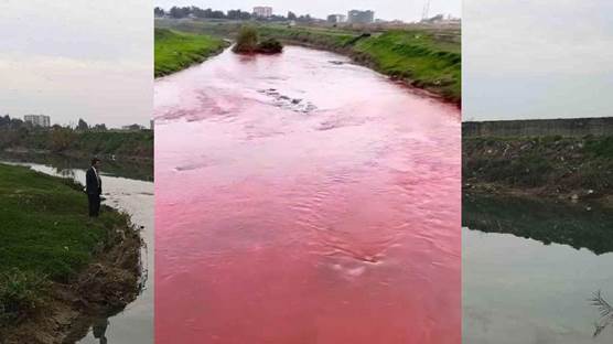 Berdan Nehri / Foto: İHA