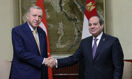 Erdoğan ve Sisi bir araya geldi - AA