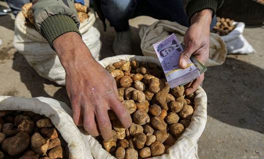 5 Syrian truffle hunters killed in suspected ISIS ambush