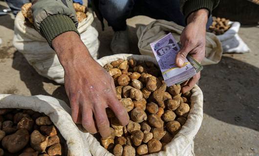 ISIS landmine kills 14 Syrian truffle hunters in Raqqa: State media