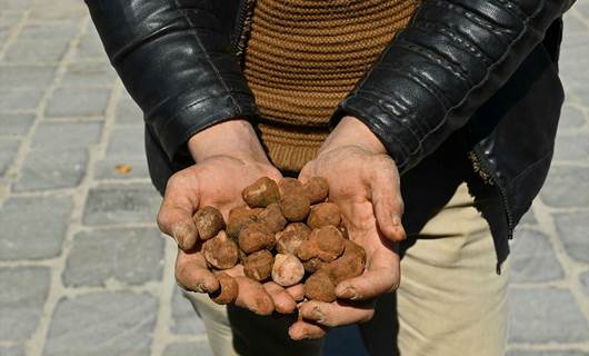 ISIS kills 18 collecting truffles in Syria: Monitor