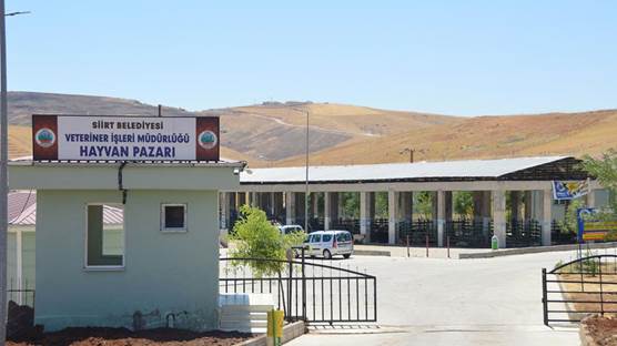 Siirt Hayvan Pazarı