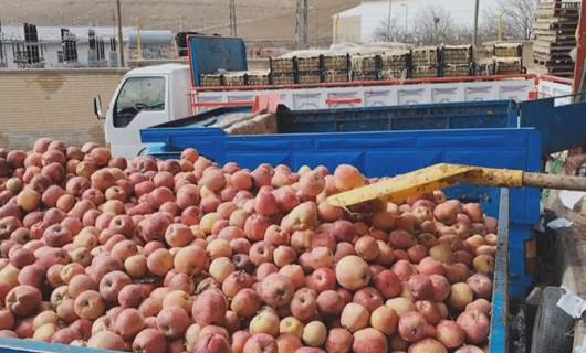 لە ئێران هەوڵدەدرێت باج لەسەر هەناردەی سێو زیاد بکرێت