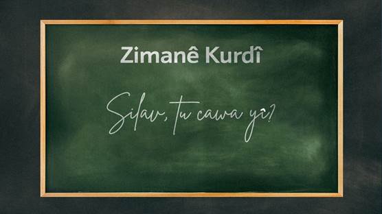 Ji bo Kurdên li derveyî welêt kursa onlina ya Kurdî vedibe / Wêne: Rûdaw Grafîk