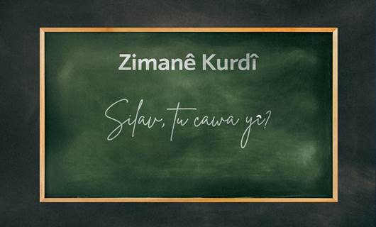 Ji bo Kurdên li derveyî welêt kursa onlina ya Kurdî vedibe / Wêne: Rûdaw Grafîk