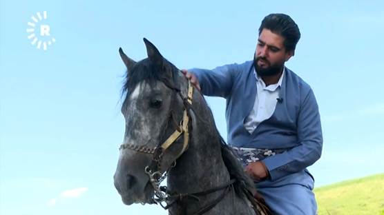 Halpçeli Mervan Abidin kendisine ait çiftlikte 10 yıldır asil Kürt atları yetiştiriyor