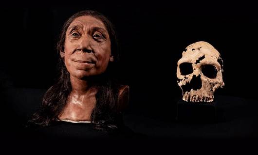 Neanderthal skull featured on Netflix returning to Kurdistan