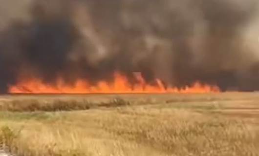 Erbil'de 381 dönüm tarım arazisi yandı