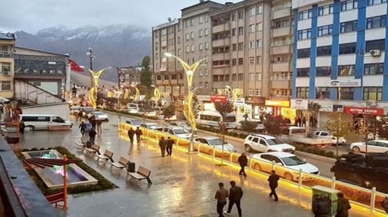 Hakkari'de 10 günlük eylem yasağı: Belediye Eşbaşkanı gözaltında