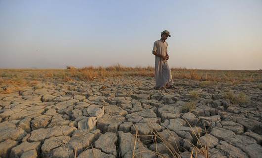 Desertification displaces over 700 families in Iraq: Official