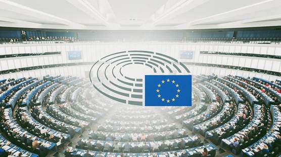 Avrupa Parlamentosu seçimlerinde 3. gün