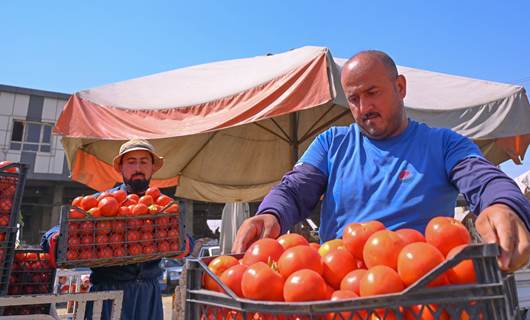 Kurdistan Region’s fruit, vegetable exports to Iraq exceeds 7,500 tons daily