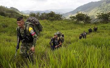 FARC üyeleri - AFP