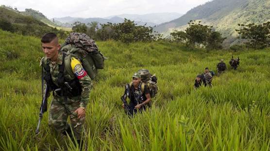 FARC üyeleri - AFP