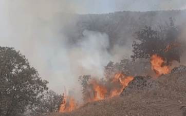 Summer forest fires threaten Kurdish areas in Iran