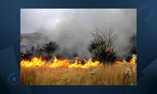 لە ناوچەی داڵاهۆی کرماشان 20 هێکتار لەوەڕگە و زەویی کشتوکاڵی سووتان