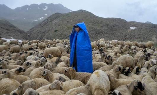 Dersim'de bir Afgan çoban Foto: AFP
