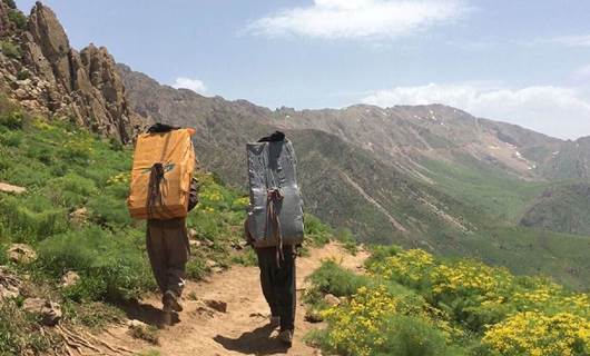 Two kolbars carry their loads on Tata Mountain in July 2017. Photo: Fazel Hawramy/Rudaw