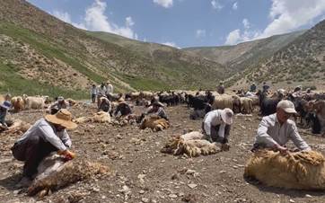 Berxbirîn li gundê Qadyana Geverê \ Wêne- Rûdaw