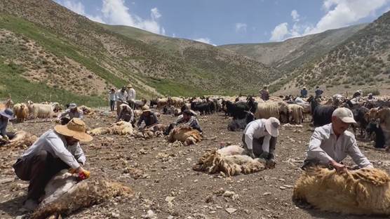 Berxbirîn li gundê Qadyana Geverê \ Wêne- Rûdaw