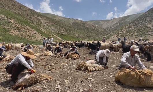 Berxbirîn li gundê Qadyana Geverê \ Wêne- Rûdaw