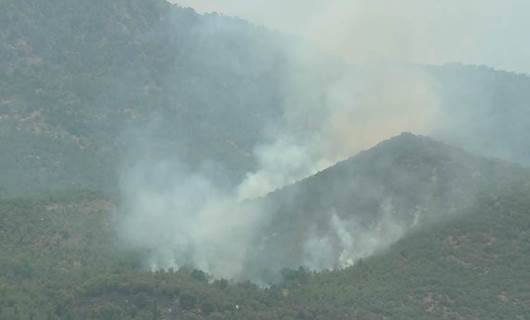 Dîmenê bomabebaranên daristanên Amêdiyê  \ Wêne: Rûdaw 